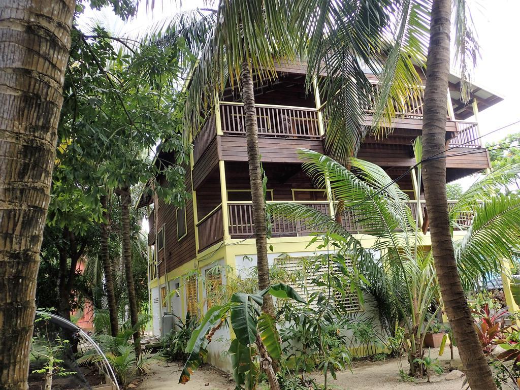 Driftwood Gardens Guesthouse Placencia Exterior foto